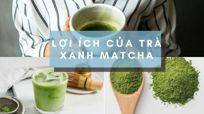 Trà Matcha Việt Nam – Hương Vị Mới Mẻ Trong Thế Giới Trà