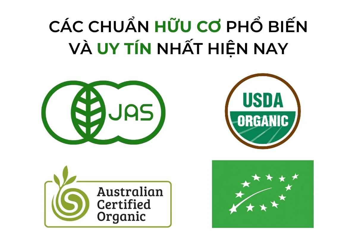 Bí Quyết Chọn Mua Trà Xanh Organic Chất Lượng Cao Mà Bạn Nên Biết